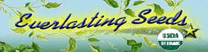 Everlasting Seeds