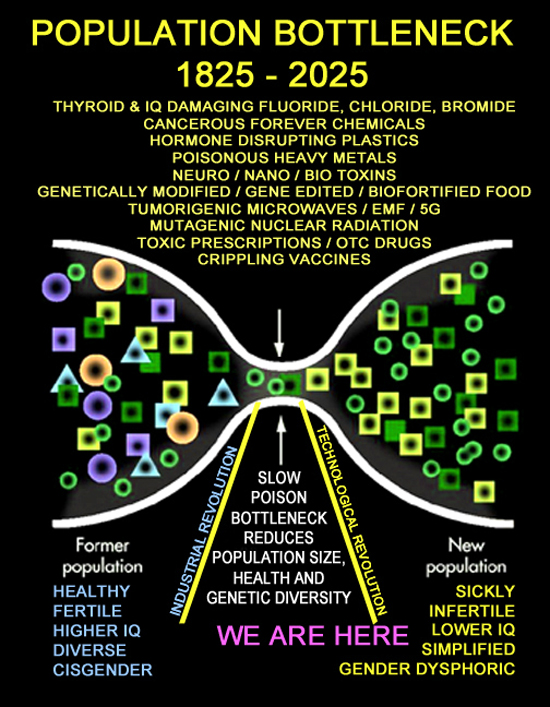 Population Bottleneck